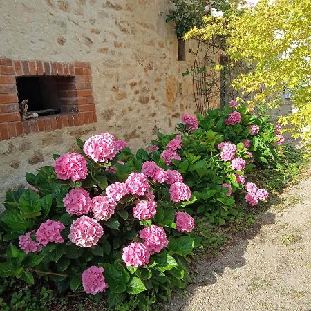 Bed and Breakfast L'Amalgam' Ainay-le-Vieil Esterno foto